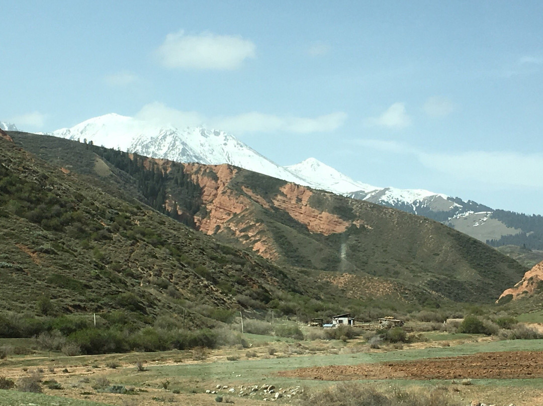 Saruu旅游攻略图片