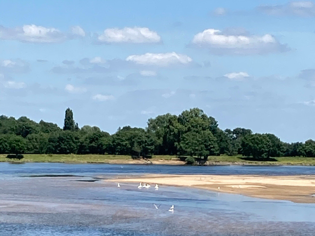 Saint-Remy-la-Varenne旅游攻略图片