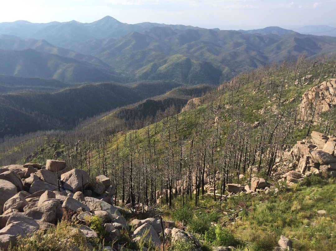 Lincoln旅游攻略图片