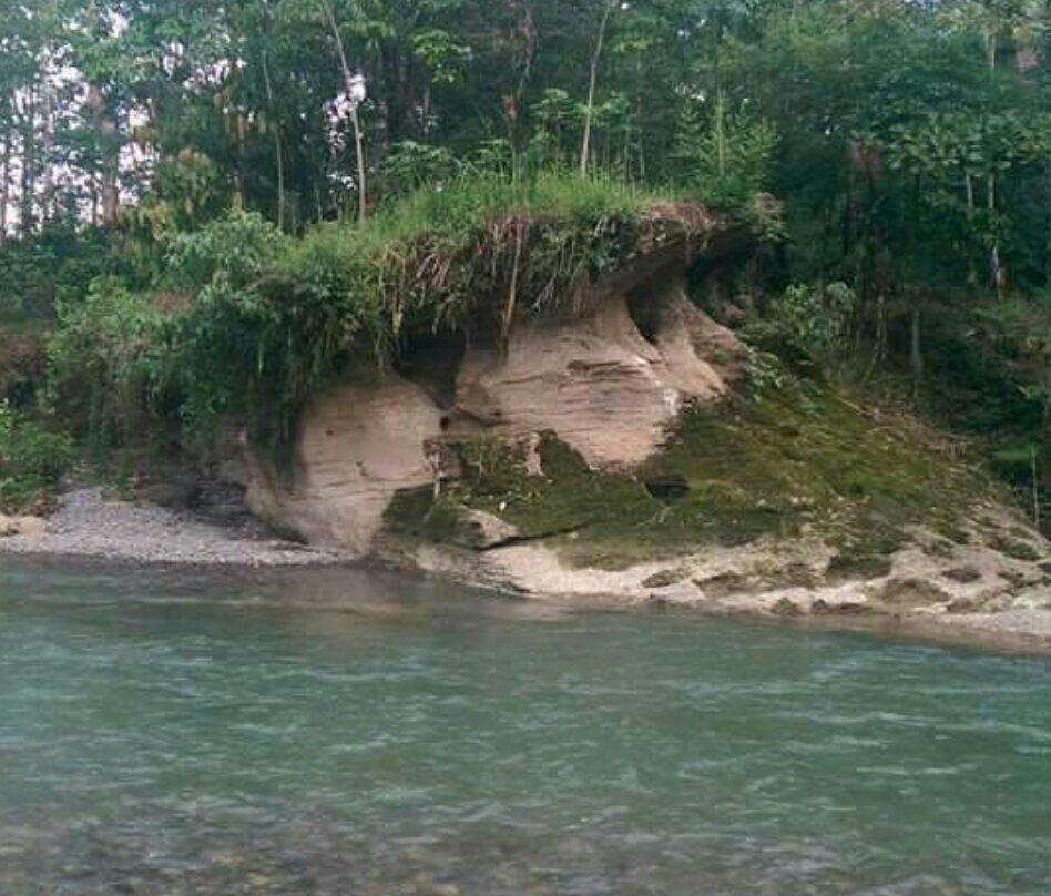 SUMECO (Sumatra Ecoproject)-武吉拉旺必去景点