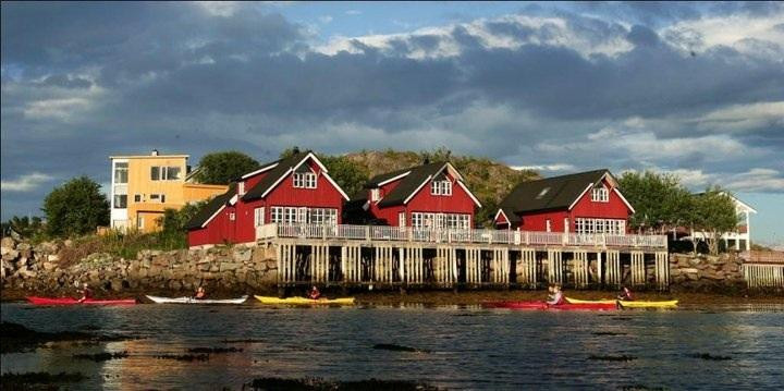 Lofoten Rorbusuiter
