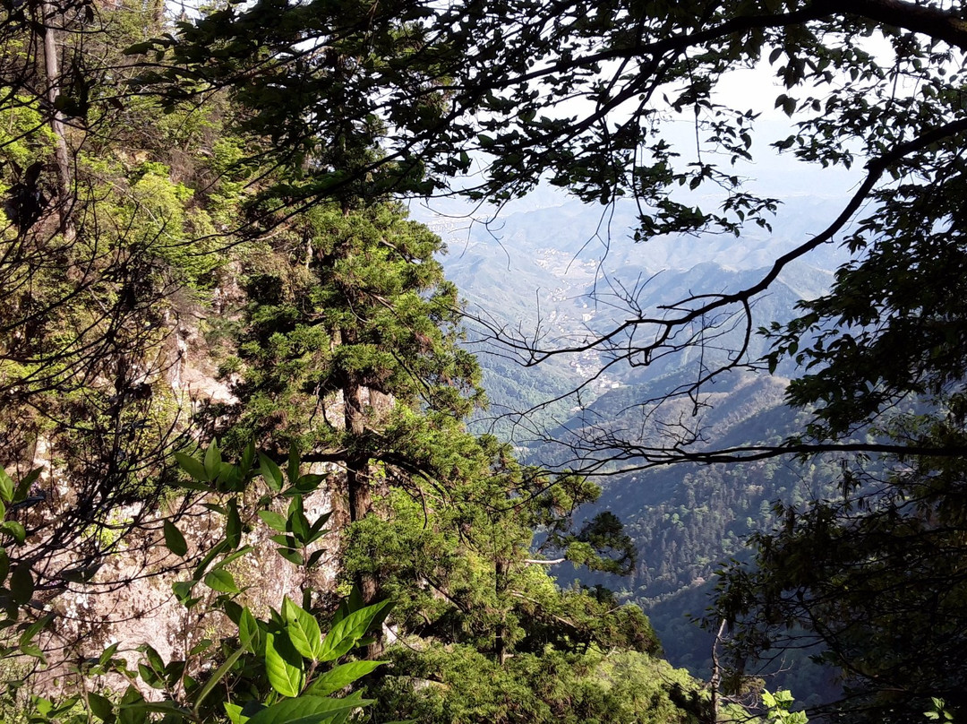 临安天目山风景区景点图片