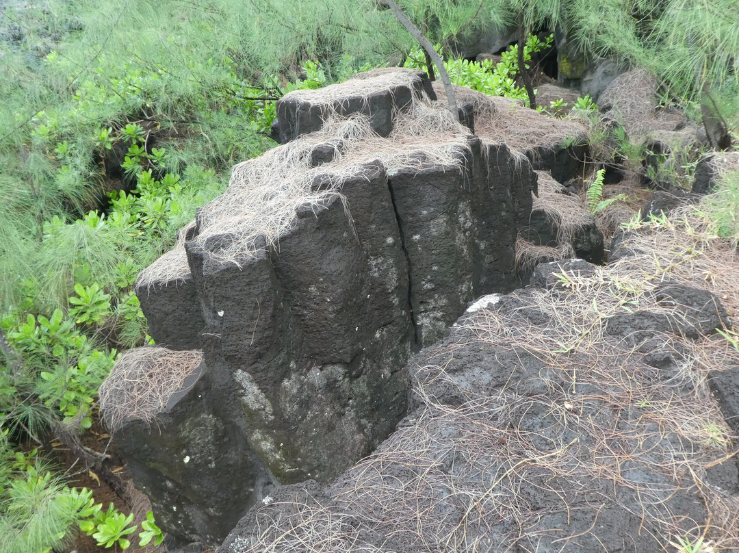 Jardin Volcanique景点图片