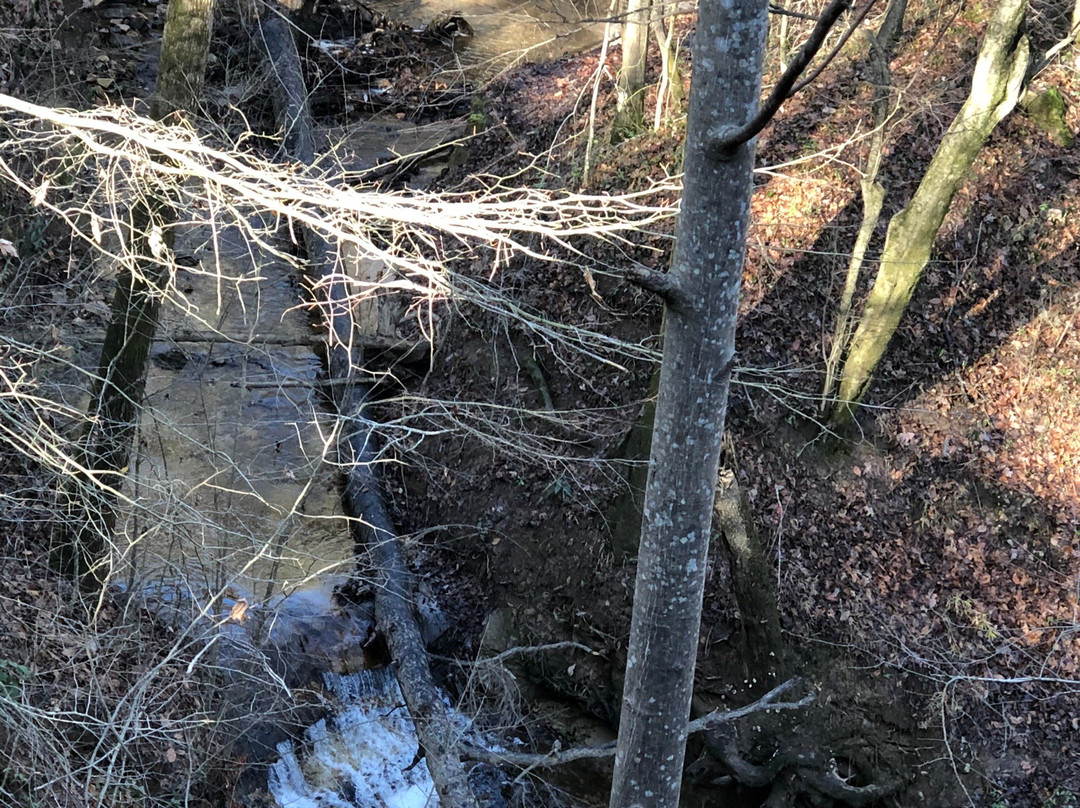 Cape Fear River Trail景点图片