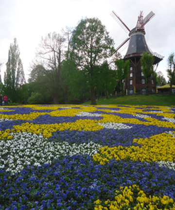 Mühle am Wall景点门票图片