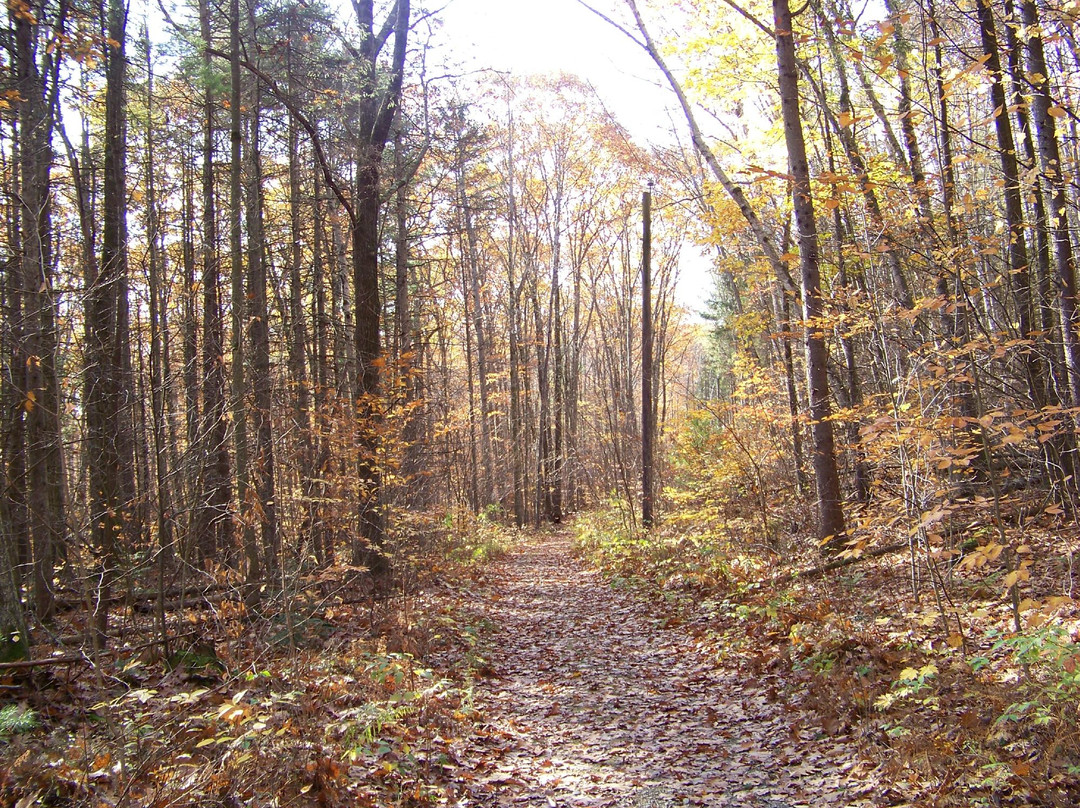 Pittsfield State Forest景点图片