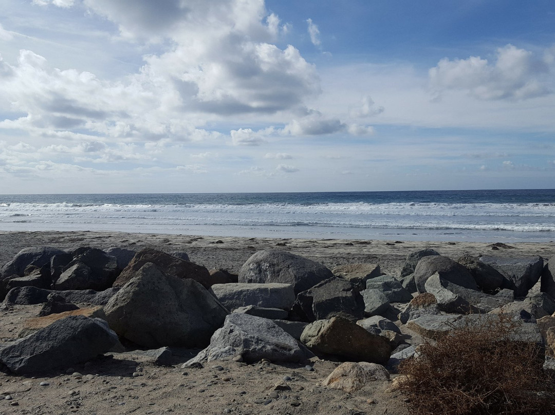 Cardiff State Beach-恩西尼塔斯必去景点