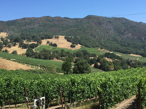 Stonestreet Winery-希尔兹堡必去景点