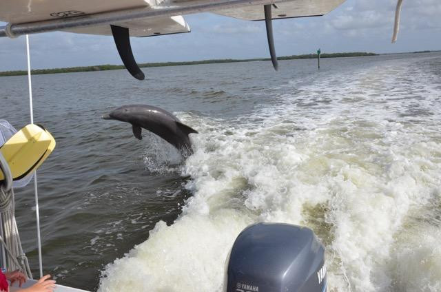 Just Add Water and Sun-那不勒斯必去景点