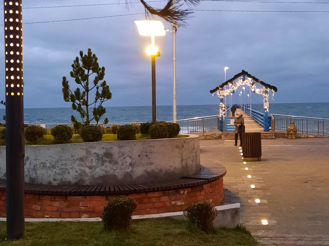 Zelenogradsk Promenade景点图片
