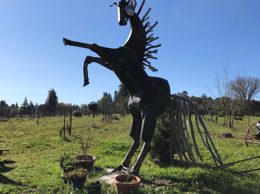 Rollin F Ranch-Sebastopol必去景点