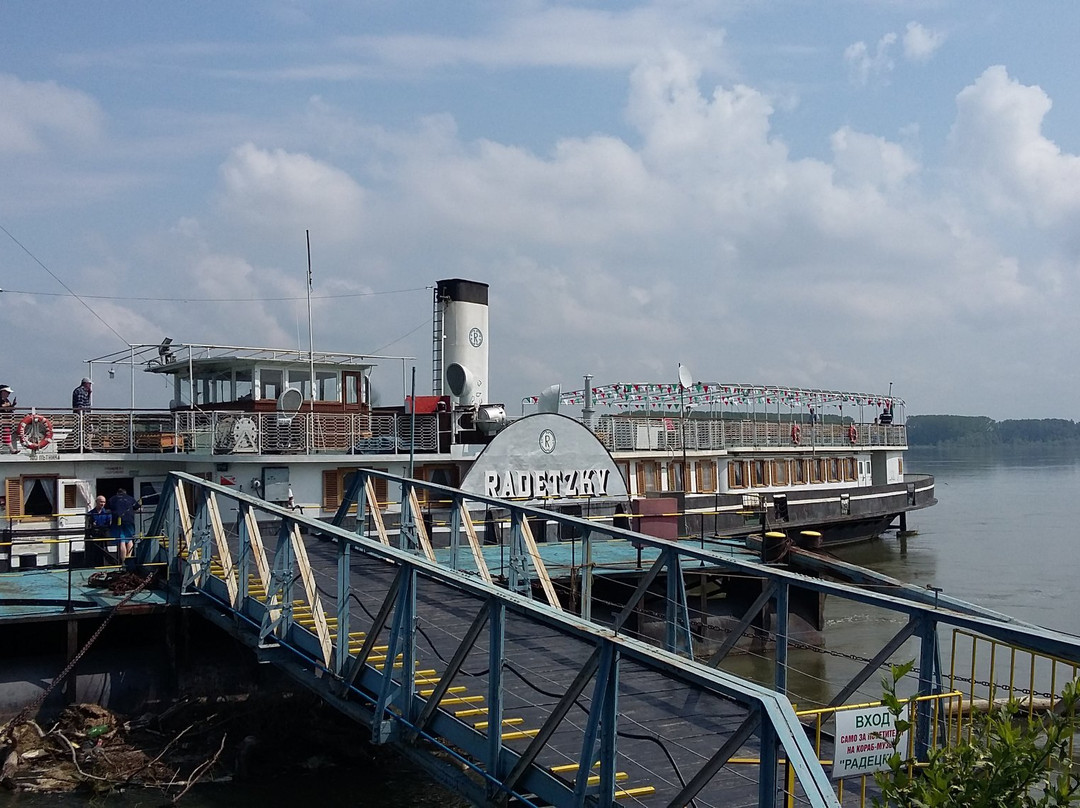 Complex Radetski主图