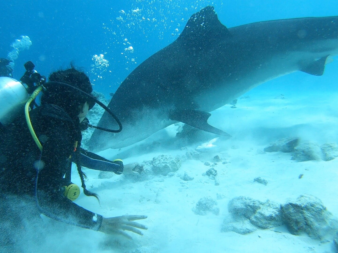 Extreme Dive Fuvahmulah景点图片