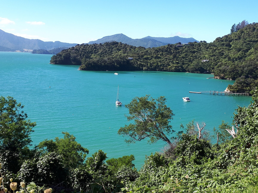 Te Mahia Bay Resort主图
