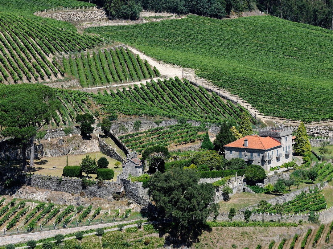 Bodegas Marqués de Vizhoja景点图片