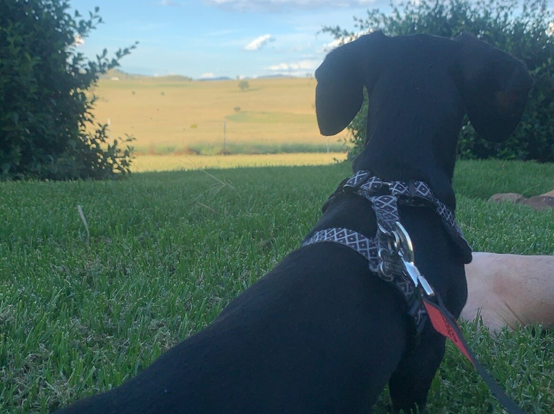 Strathearn Park Lodge主图