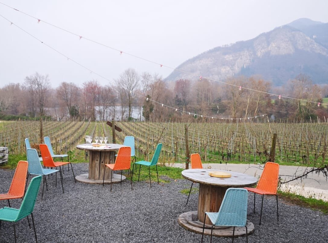 Bersi Serlini Franciacorta景点图片