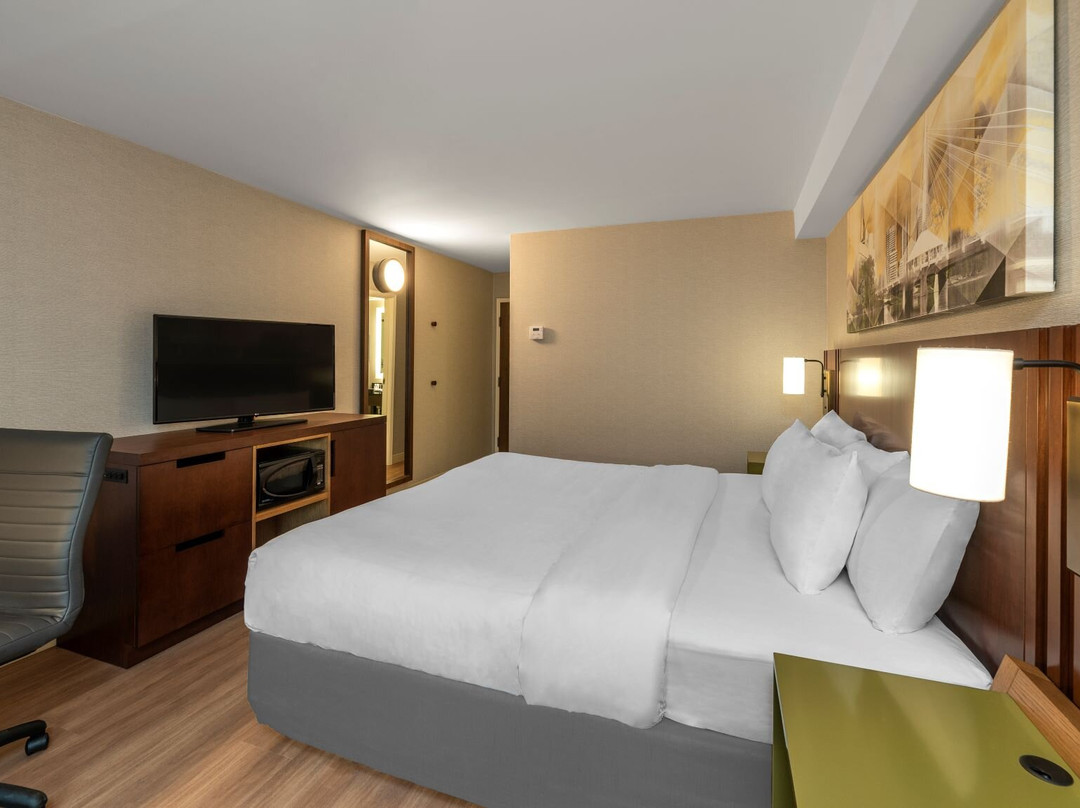 Comfort Inn South主图