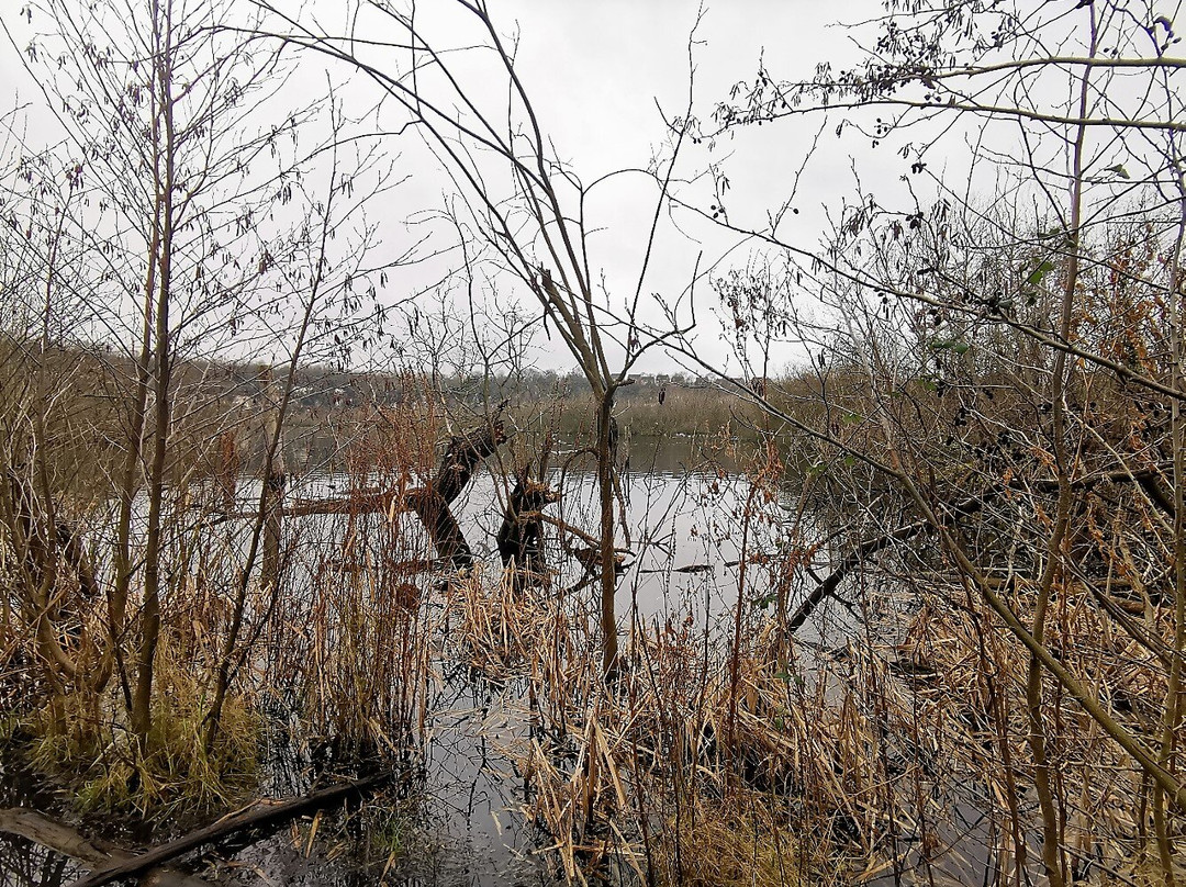 Essex Wildlife Trust Chafford Gorges Nature Park景点图片