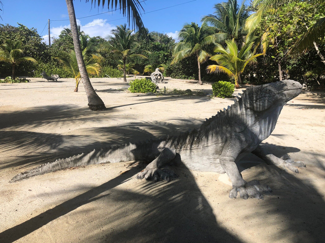 Davinoff's Concrete Sculpture Garden-Old Man Bay必去景点