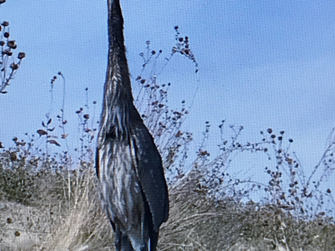 Los Vaqueros Reservoir & Watershed-Brentwood必去景点