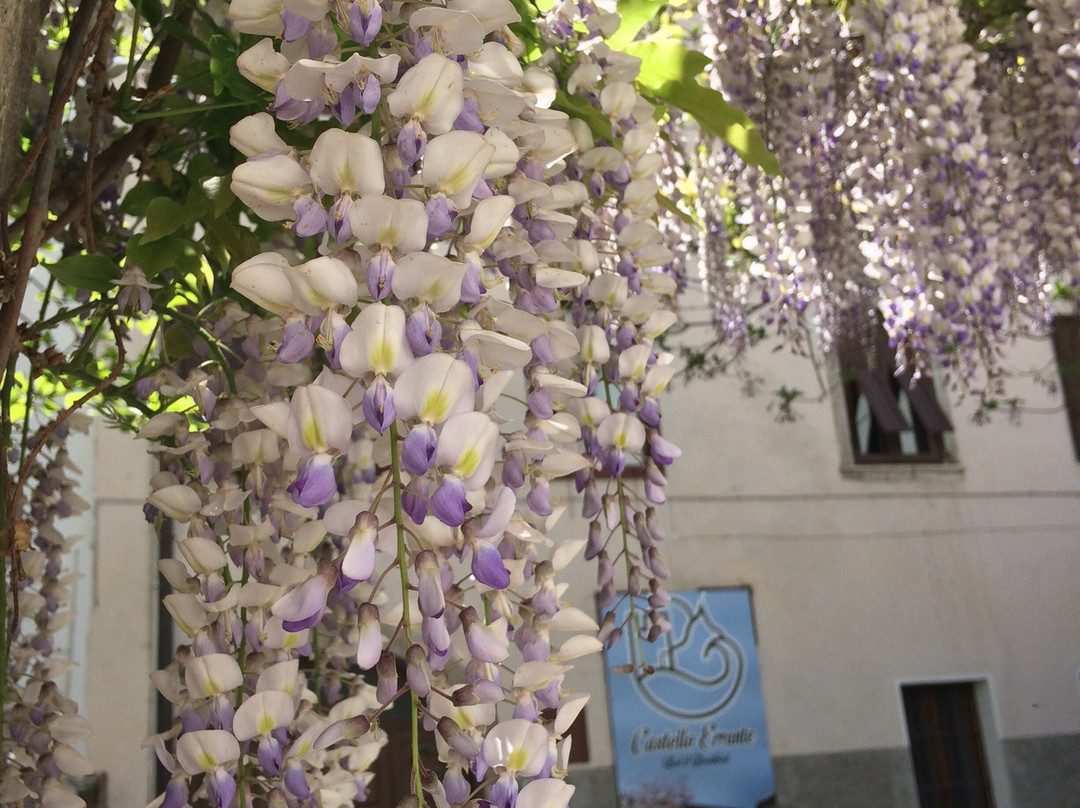 Castello Errante Bio B&B主图