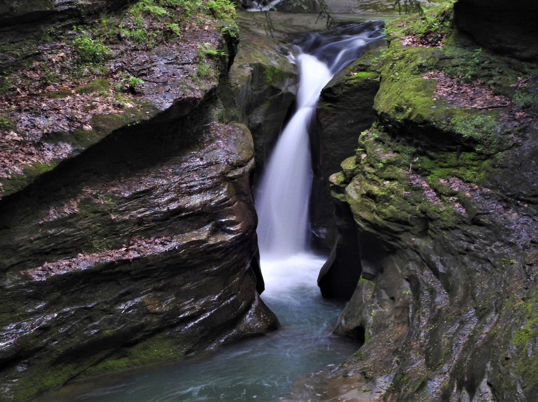 Boch Hollow State Nature Preserve-洛根必去景点