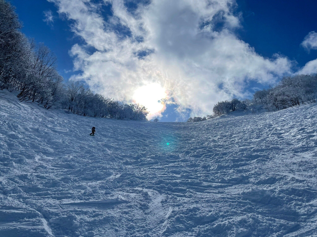 Madarao Mountain Resort-饭山市必去景点