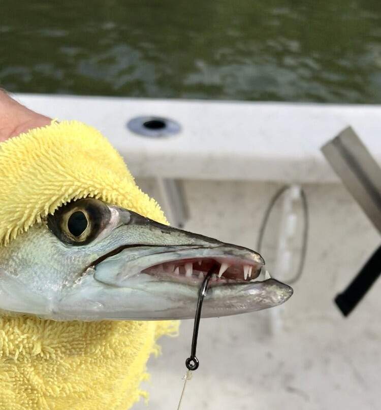 All Water Excursions-博尼塔斯普林斯必去景点