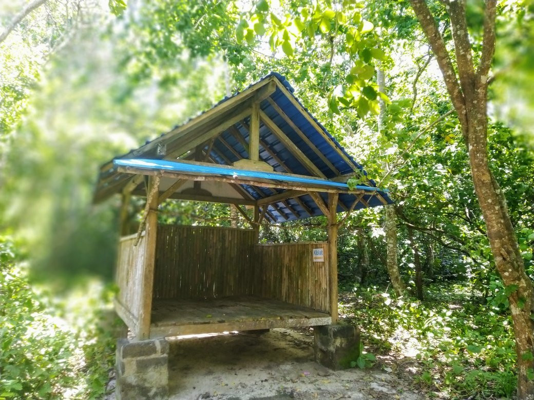 Green Bay-巴纽旺宣必去景点