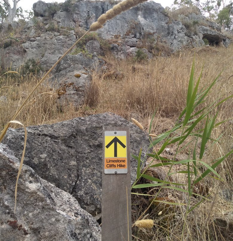Limestone Cliffs Walk-Naracoorte必去景点