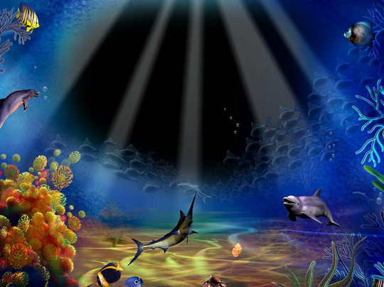 Blue Sea Dive Club-沙姆沙伊赫必去景点