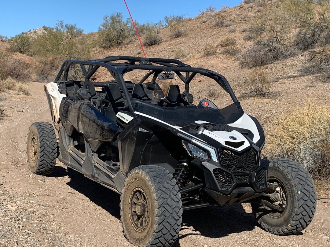 Wet Monkey Powersport Rentals-哈瓦苏湖城必去景点