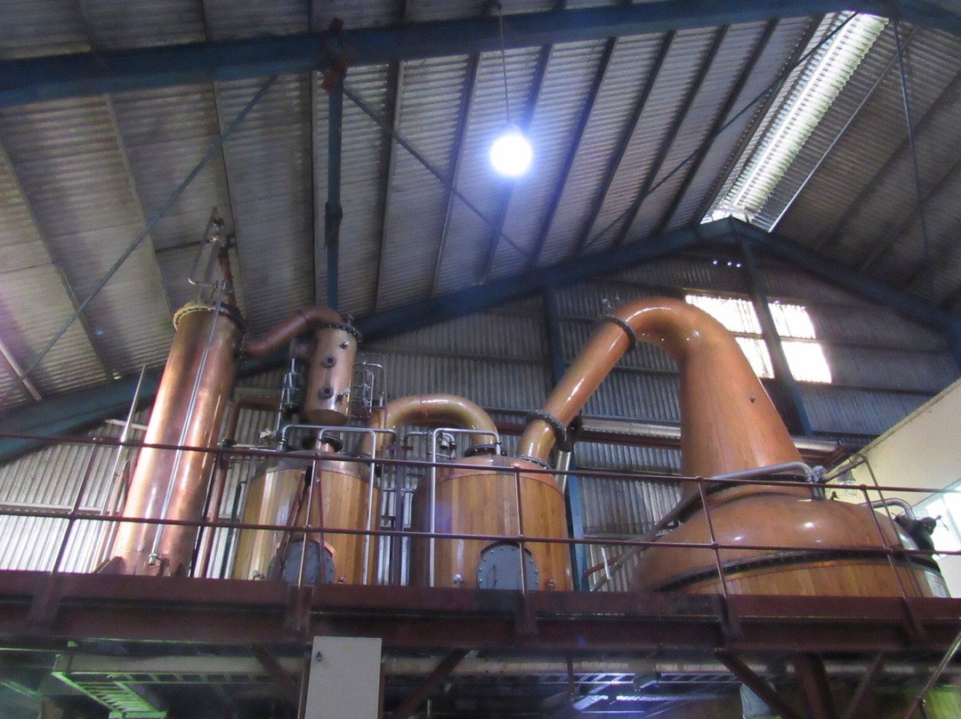 Worthy Park Estate Rum Tour-Linstead必去景点