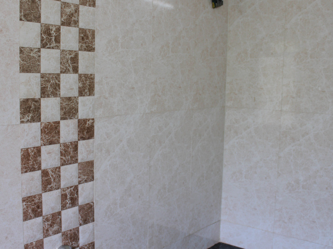 Hotel Abhishek主图