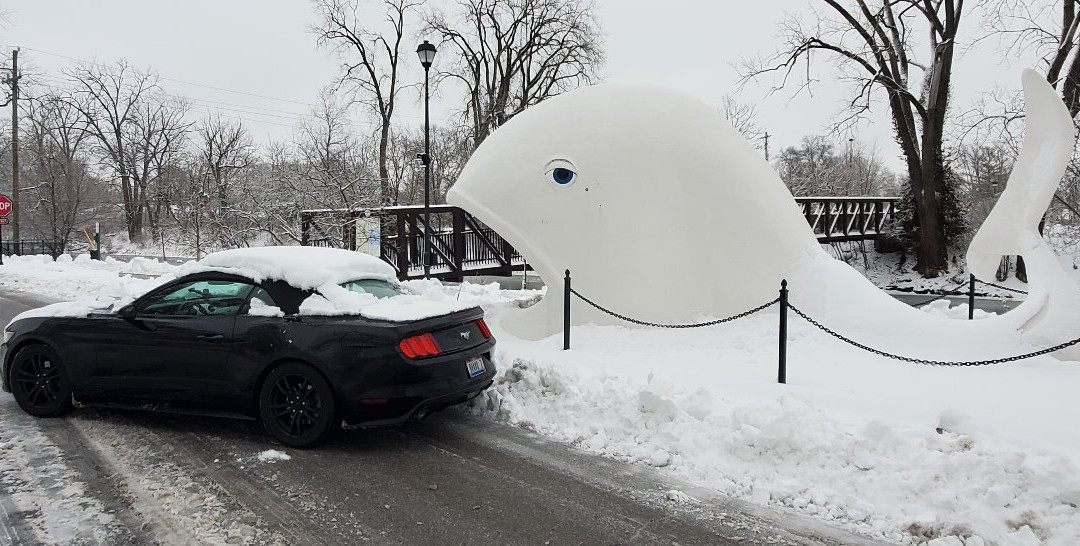 Foster Park-科科莫必去景点