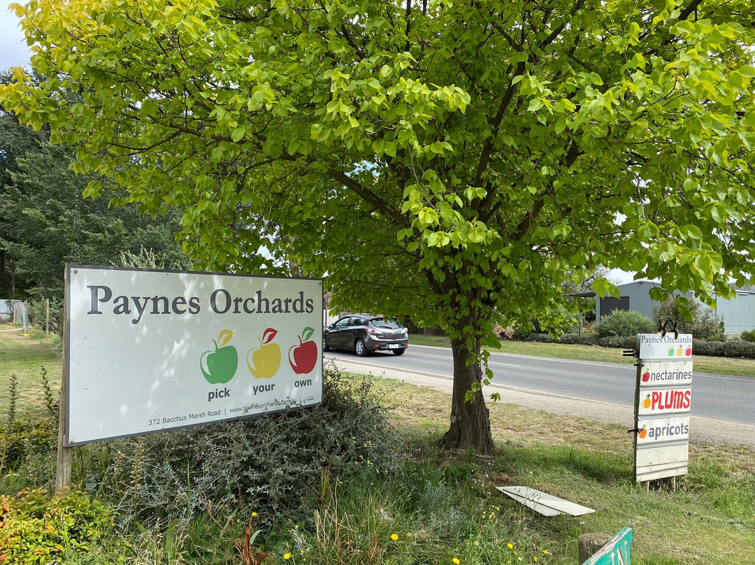 Payne's Orchards景点图片
