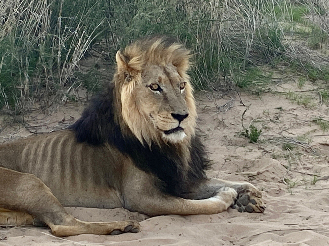 卡拉嘎地跨界公园-阿平顿必去景点