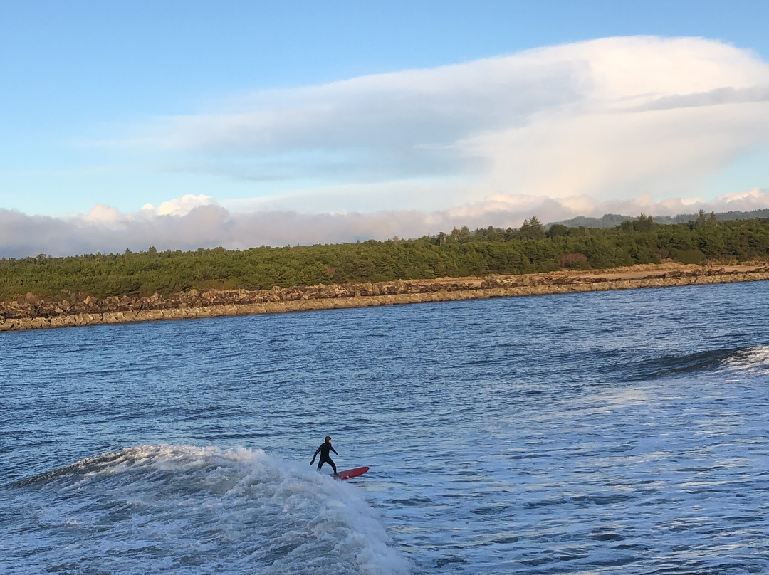 South Jetty County Park-弗洛伦斯必去景点