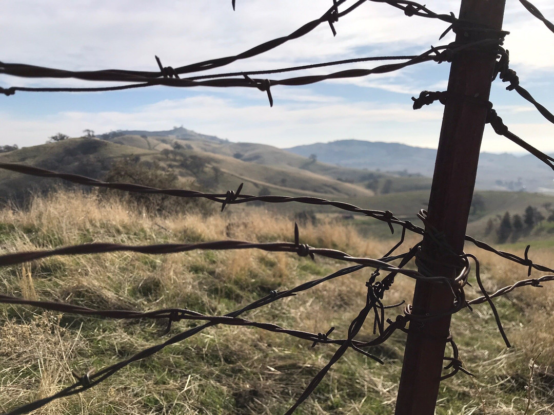 Lagoon Valley/Pena Adobe Regional Park-瓦卡维尔必去景点