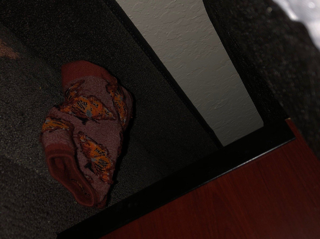 佛罗伦萨假日酒店主图