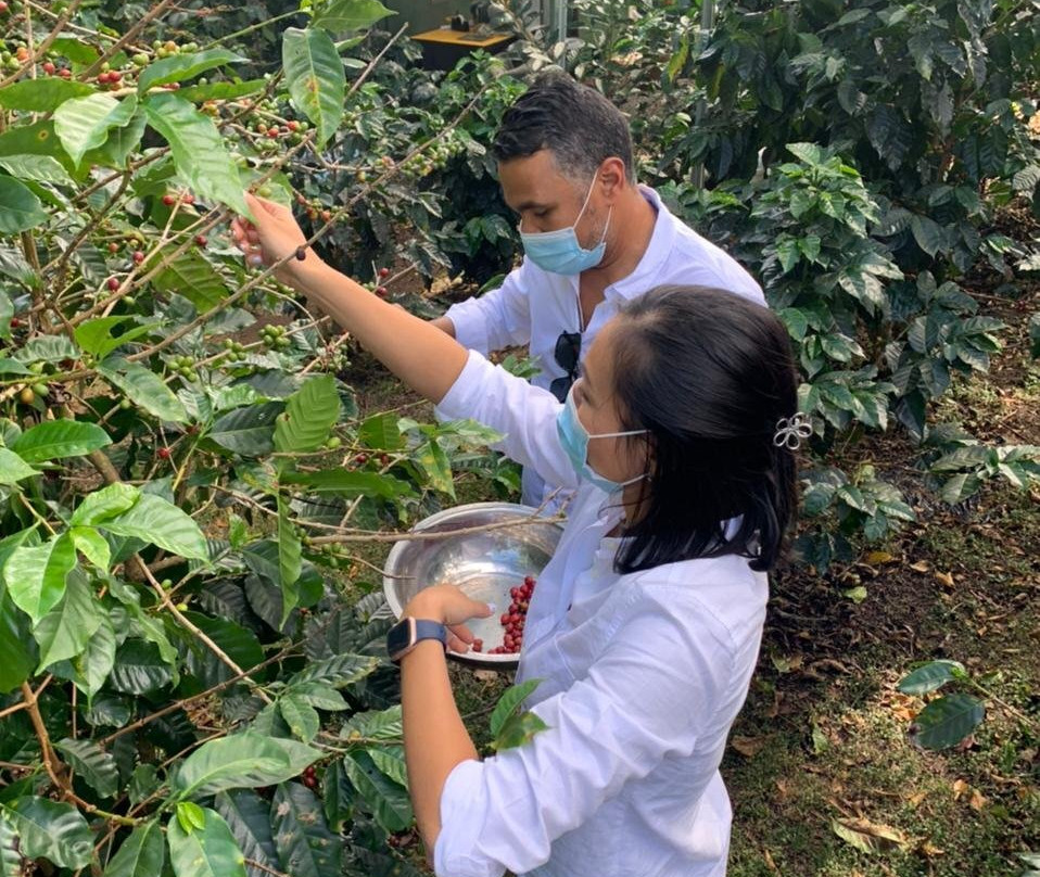 Finca Casanga-波魁特必去景点