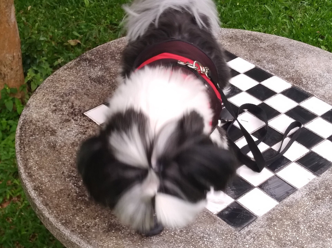 Riacho Das Pedras Pousada主图