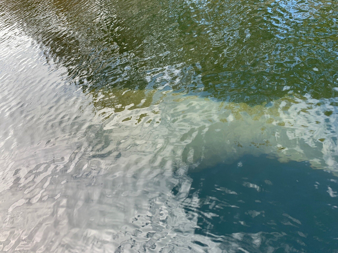 TNT Hideaway Day Tours-Crawfordville必去景点