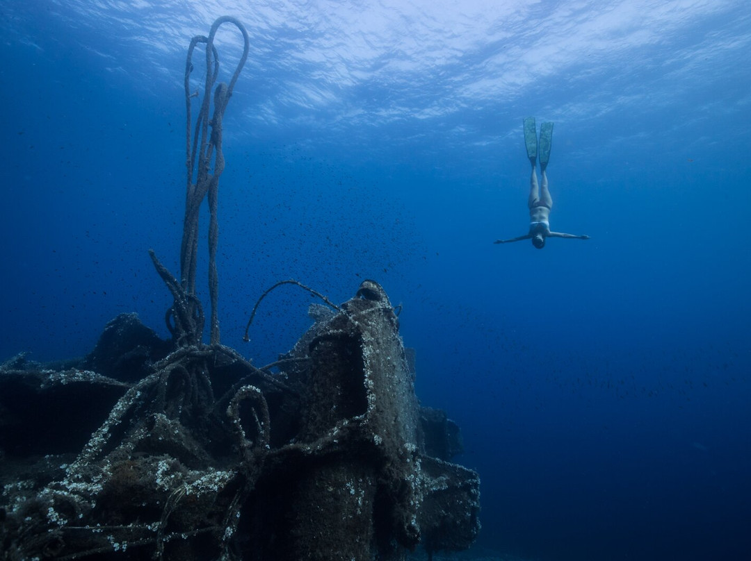 ScubAndros-Gavrion必去景点