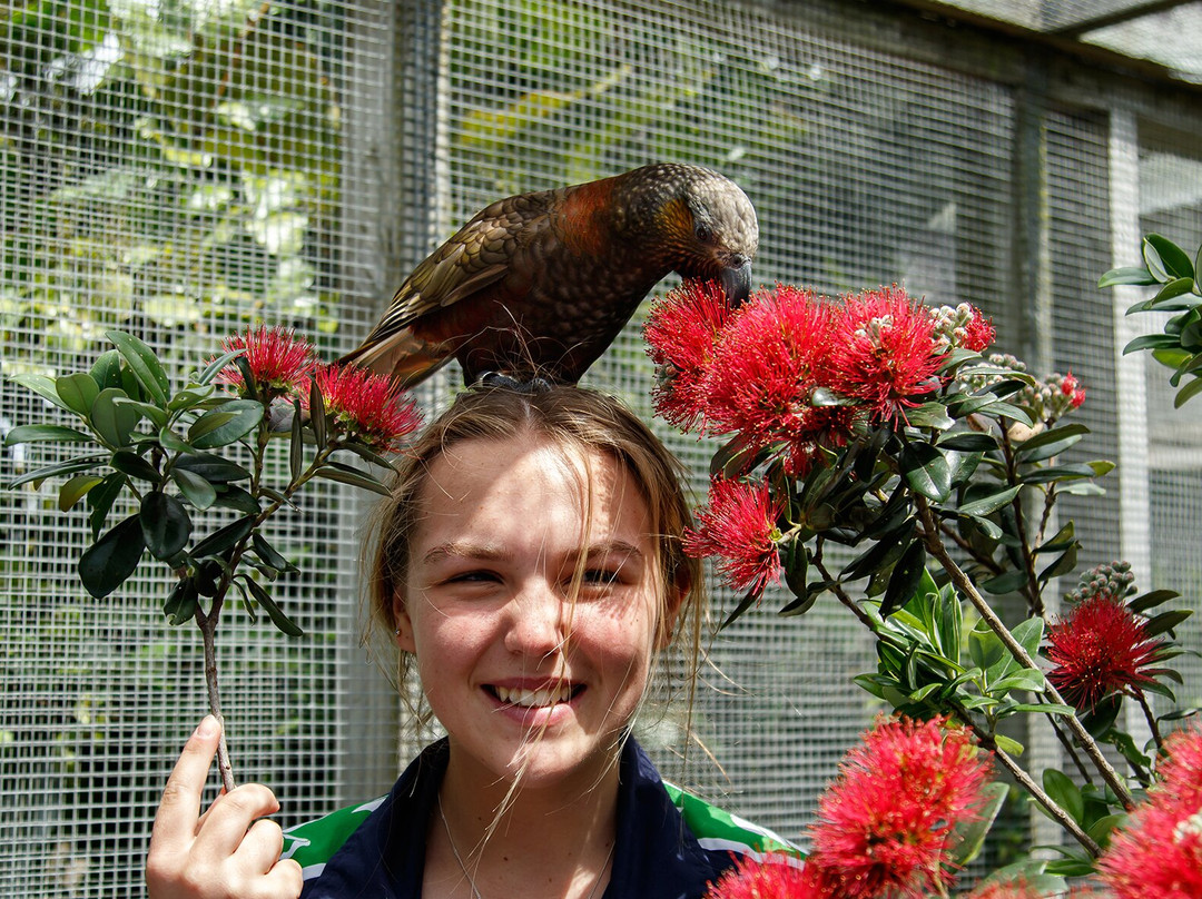 Ngā Manu Nature Reserve-怀卡尼必去景点
