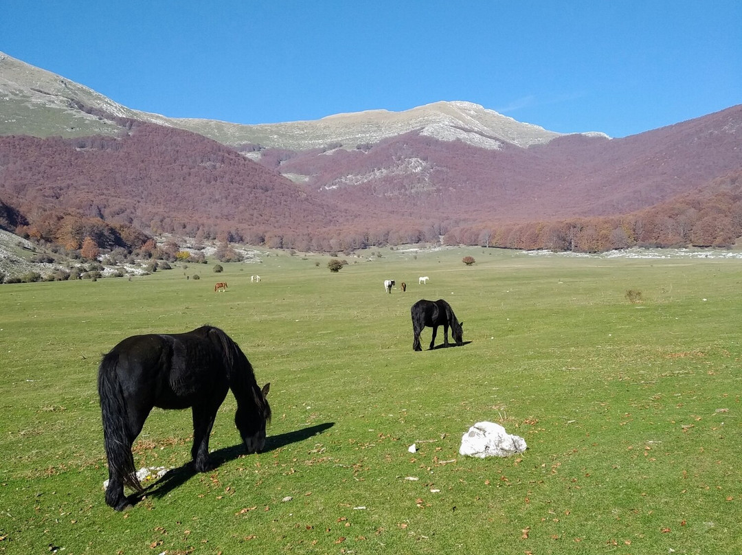 Area Pic Nic Prato di Campoli-Veroli必去景点