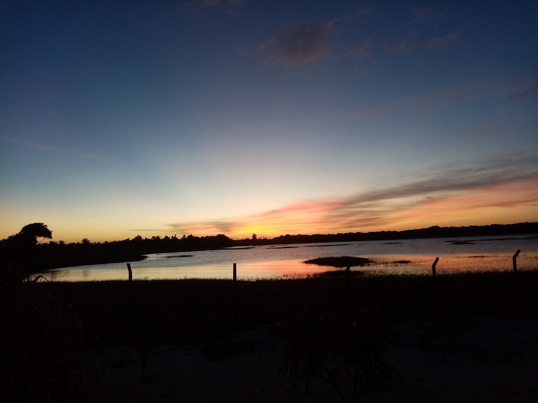 Moncalmterapia主图