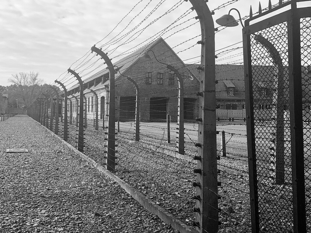 Auschwitz Tour - Krakow Discovery-克拉科夫必去景点