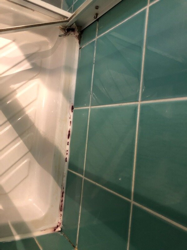 Hôtel All Suites Le Teich主图